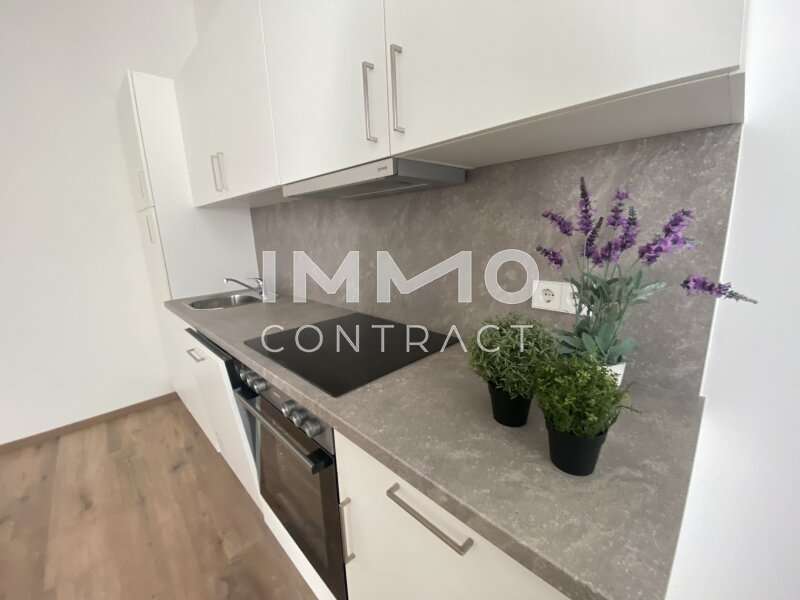 Ferienwohnung in Wien - Bild 2