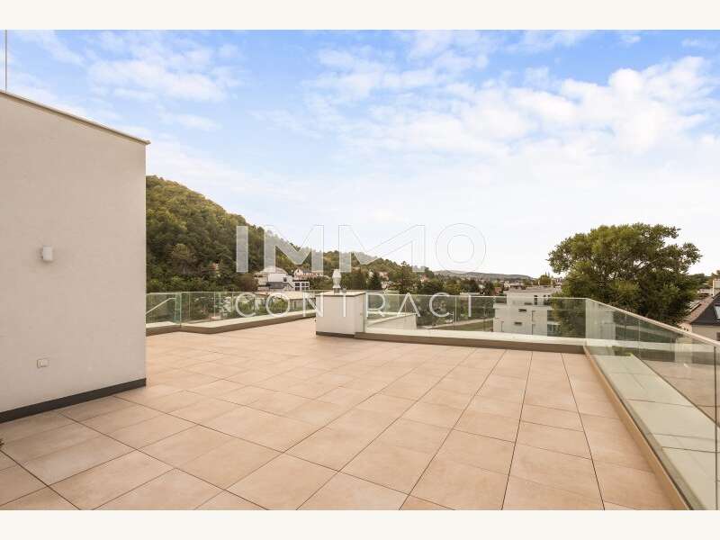 Penthouse Wien: DSC_0433 DSC_0433