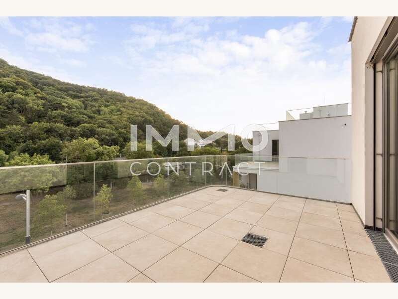 Penthouse Wien: DSC_9282 DSC_9282