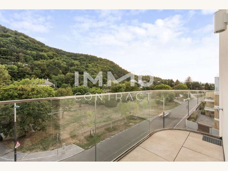 Penthouse Wien: DSC_9330 DSC_9330