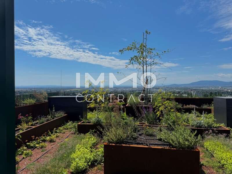 Eigentumswohnung Wien: DG 2 DG 2