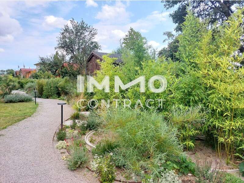 Eigentumswohnung Wien: lax oase lax oase