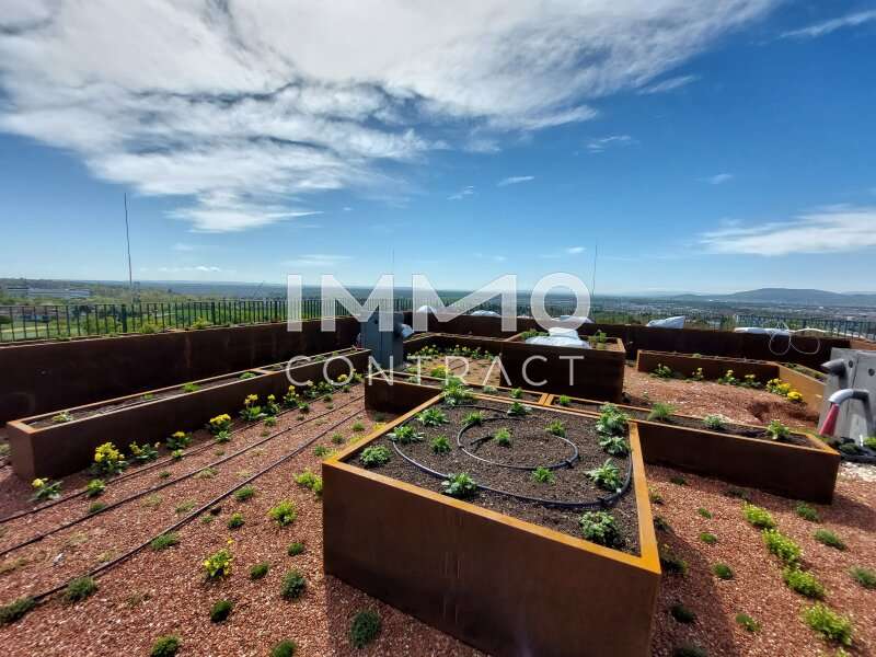 Eigentumswohnung Wien: Lax Dachgarten Lax Dachgarten