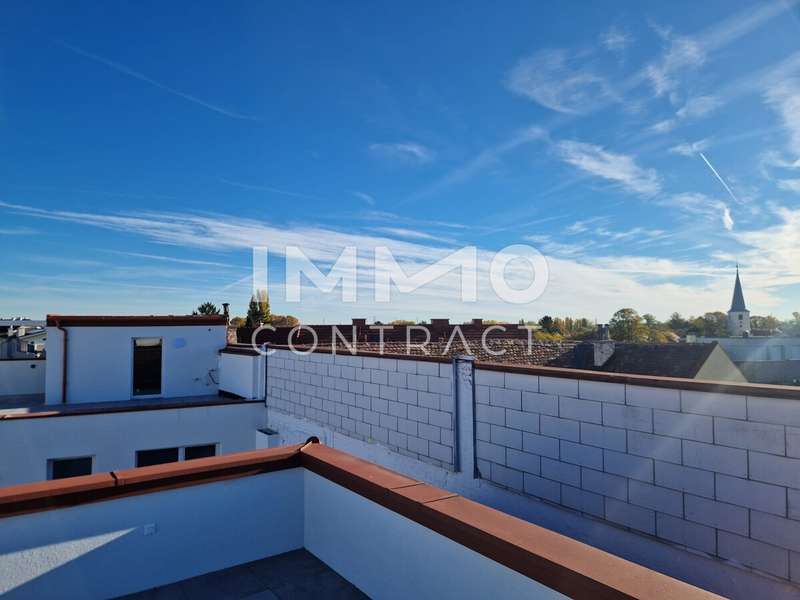 Wohnung in Traiskirchen - Bild 3