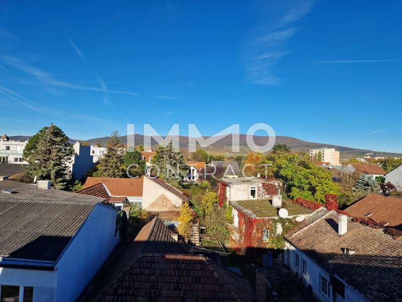 Wohnung in Traiskirchen - Bild 9