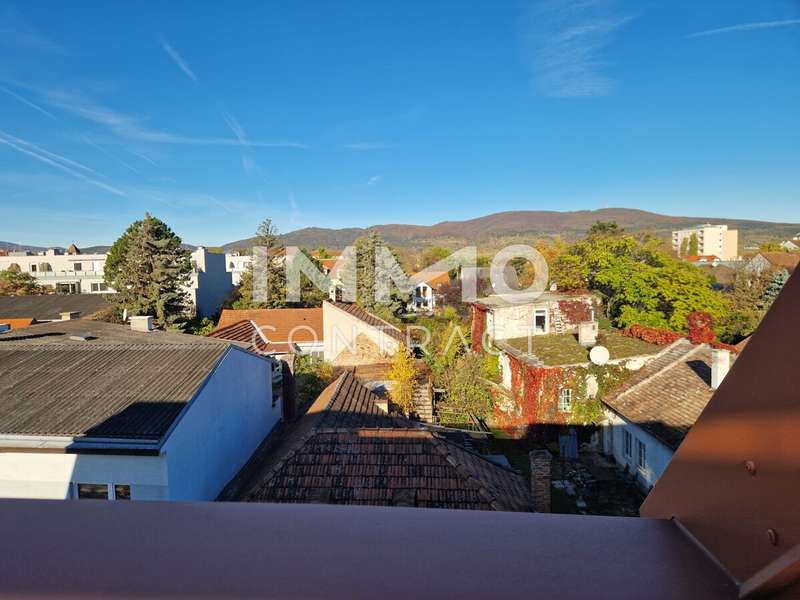 Wohnung in Traiskirchen - Bild 5