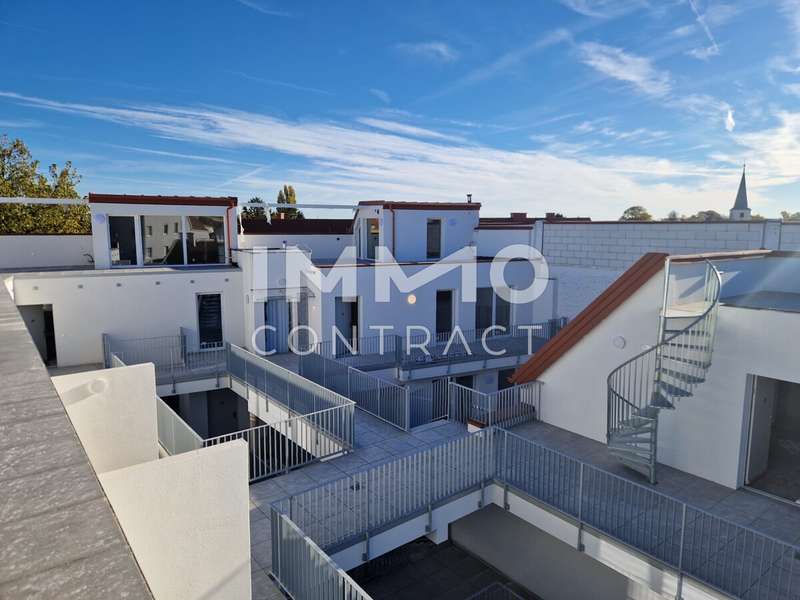 Wohnung in Traiskirchen - Bild 7