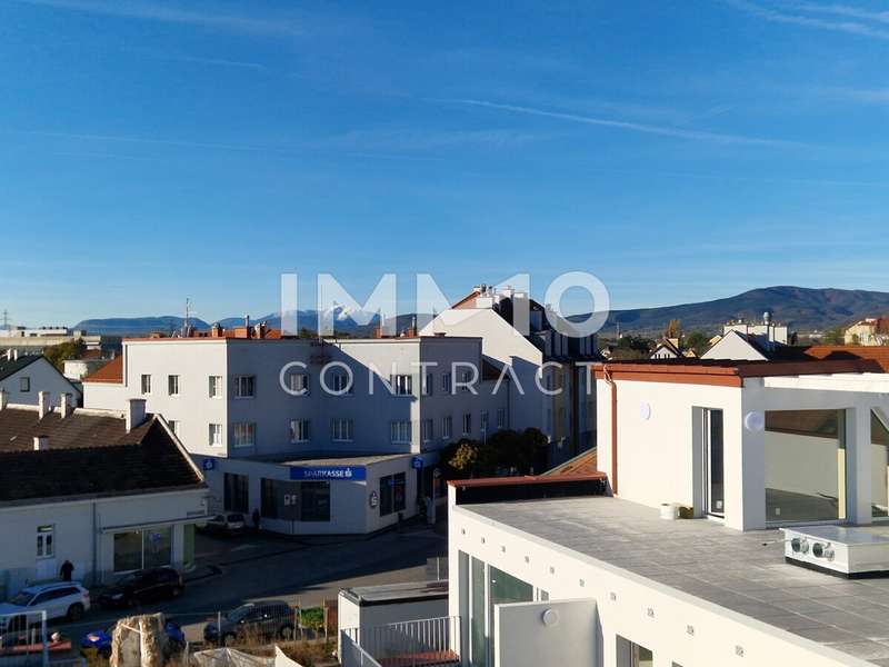 Wohnung in Traiskirchen - Bild 7