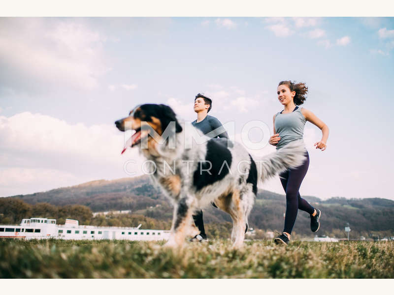 Laufen mit hund