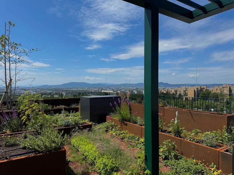 Eigentumswohnung Wien: image4 image4