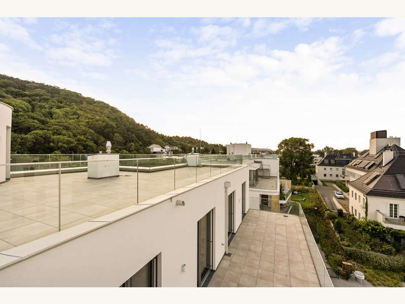 Penthouse Wien: DSC_9301 DSC_9301