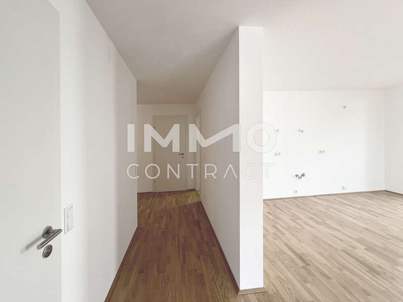 Eigentumswohnung Krems: DSH 8301 Kopie DSH 8301 Kopie