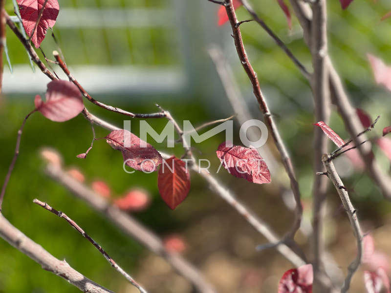 Eigentumswohnung Krems: DSH DSH