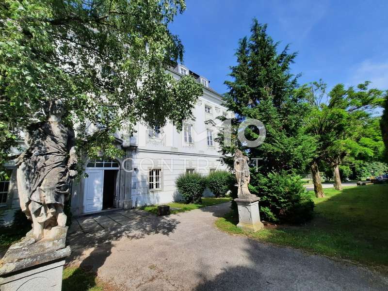 Maisonette Thalheim bei Wels: 20250603_161935 20250603_161935