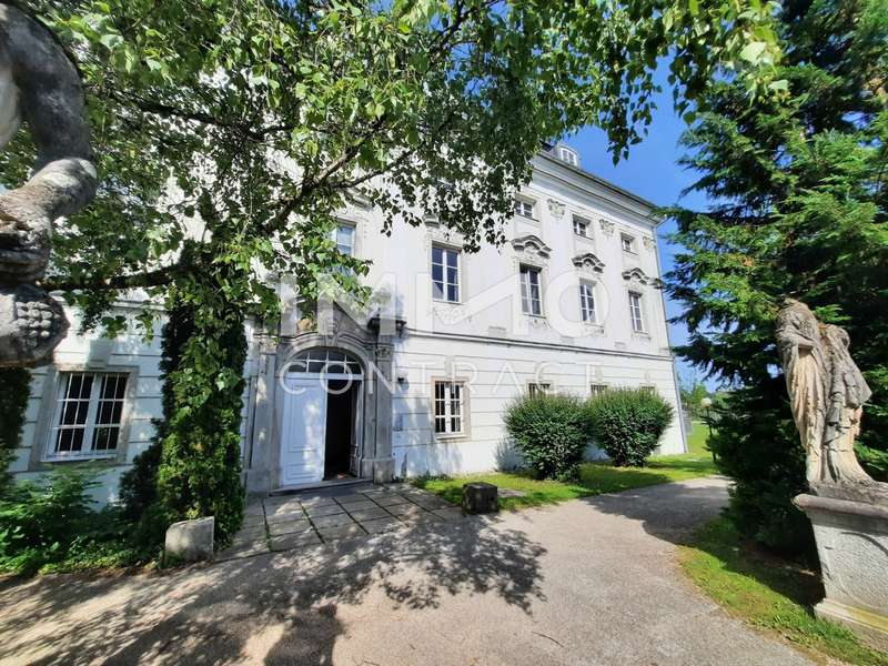 Maisonette Thalheim bei Wels: 20250603_161941 20250603_161941