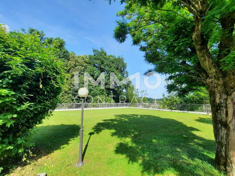Maisonette Thalheim bei Wels: 20250603_162023 20250603_162023