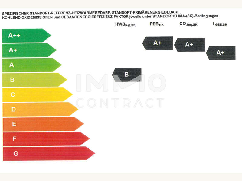 Auszug Energieausweis