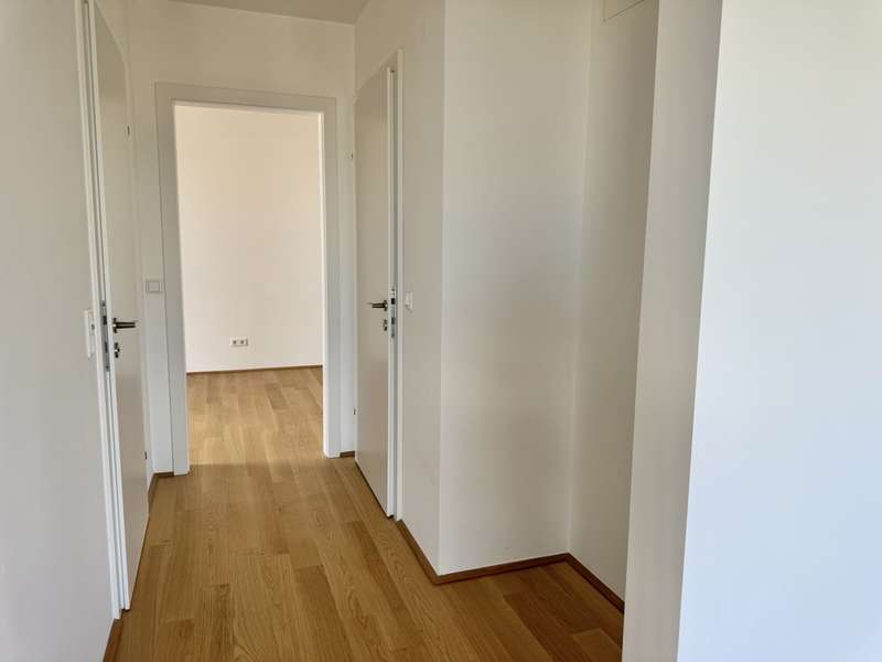 image6