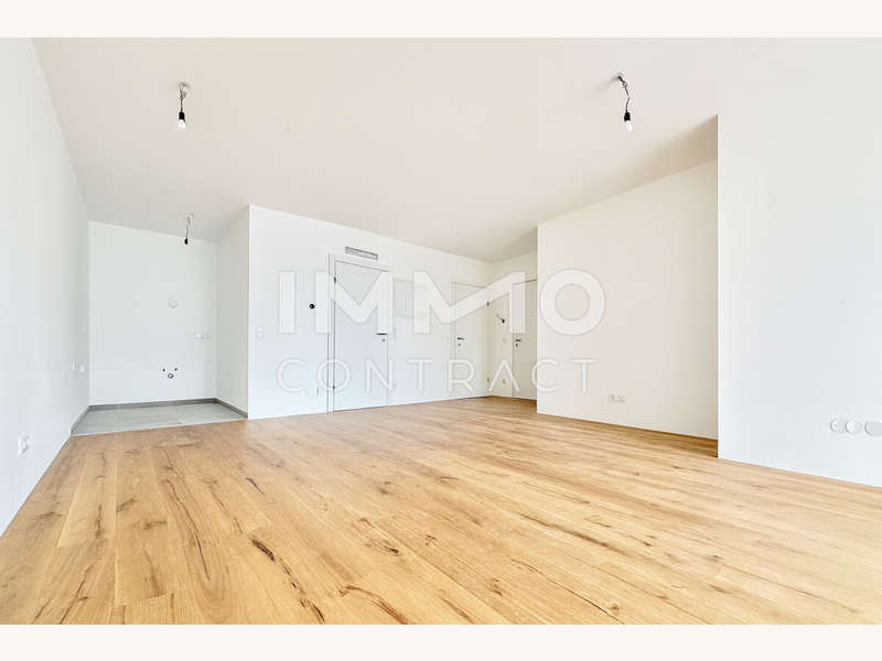 Zimmer_1