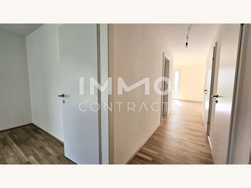 Eigentumswohnung Leopoldsdorf: 1_2_VZ 1_2_VZ