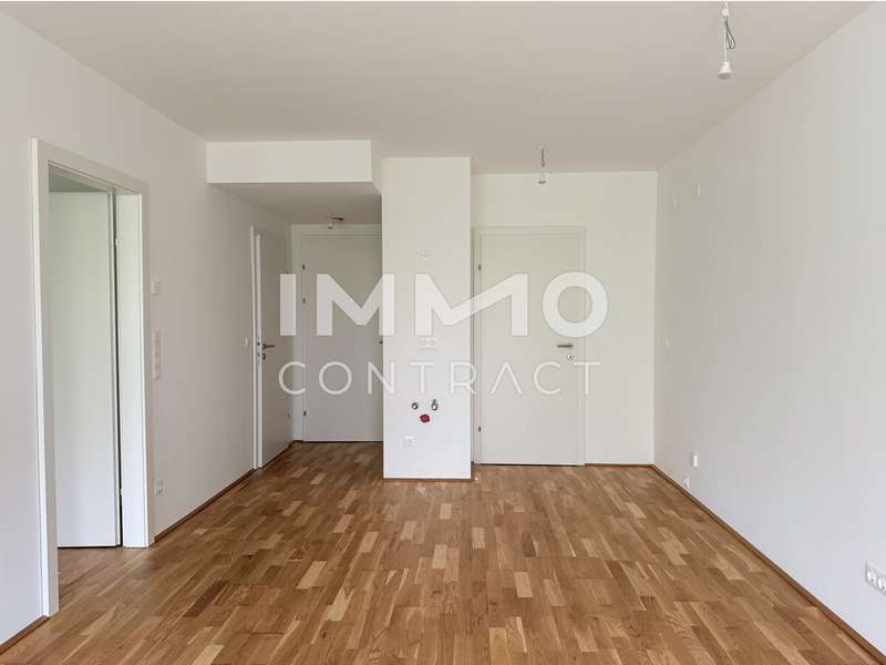 Eigentumswohnung Wien: Wohnraum Wohnraum