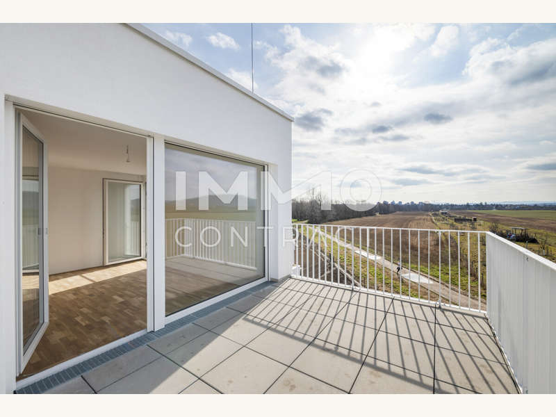 Lichtdurchfluteter Wohnbereich