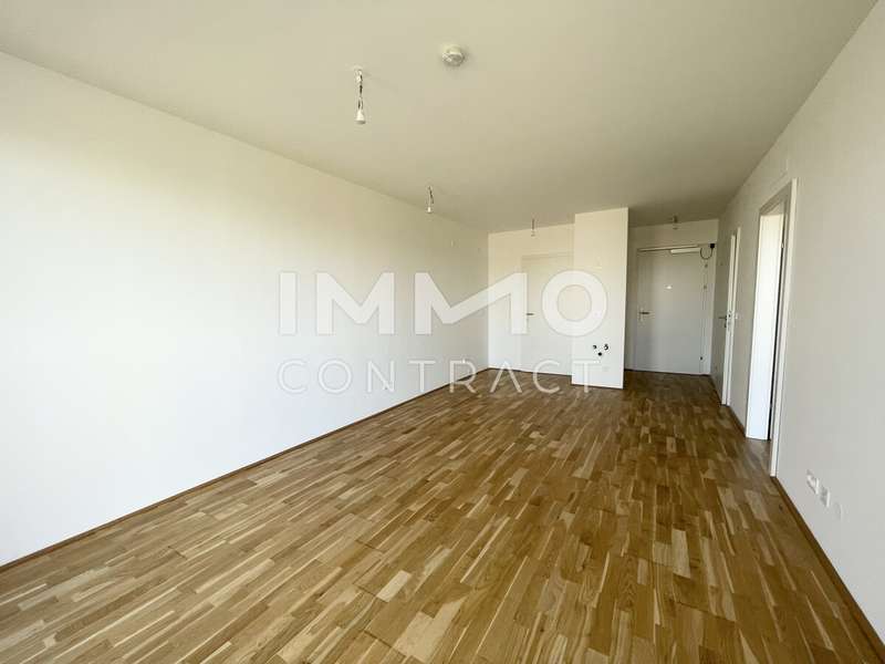 Eigentumswohnung Wien: Wohnraum Wohnraum