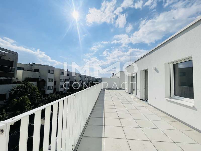Eigentumswohnung Wien: Terrasse Terrasse