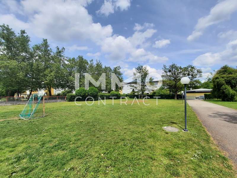 Eigentumswohnung Wels: 20250527_140518 20250527_140518