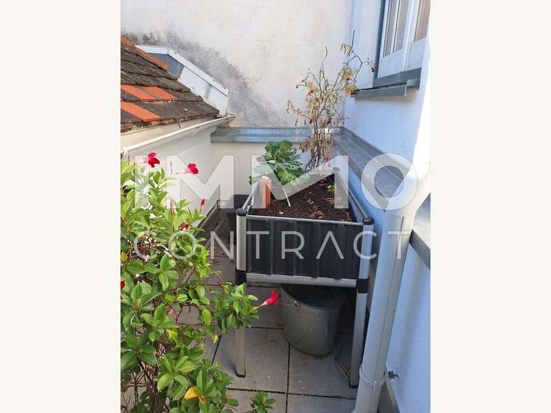 Maisonette Wien: 20251016_143613 20251016_143613