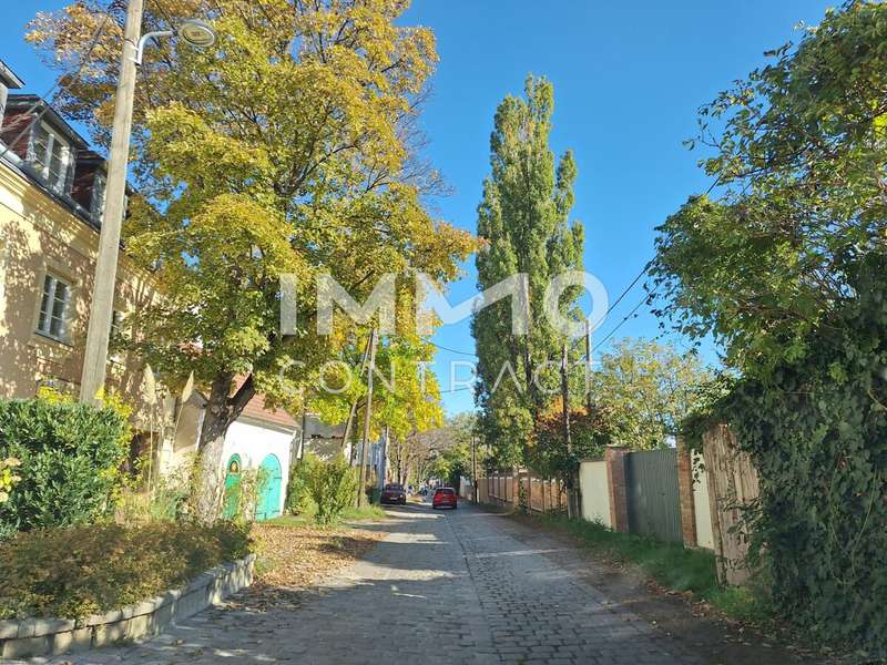 Maisonette Wien: 20251016_144726 20251016_144726