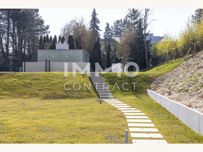 Top_02_T4A1235_Auswahl