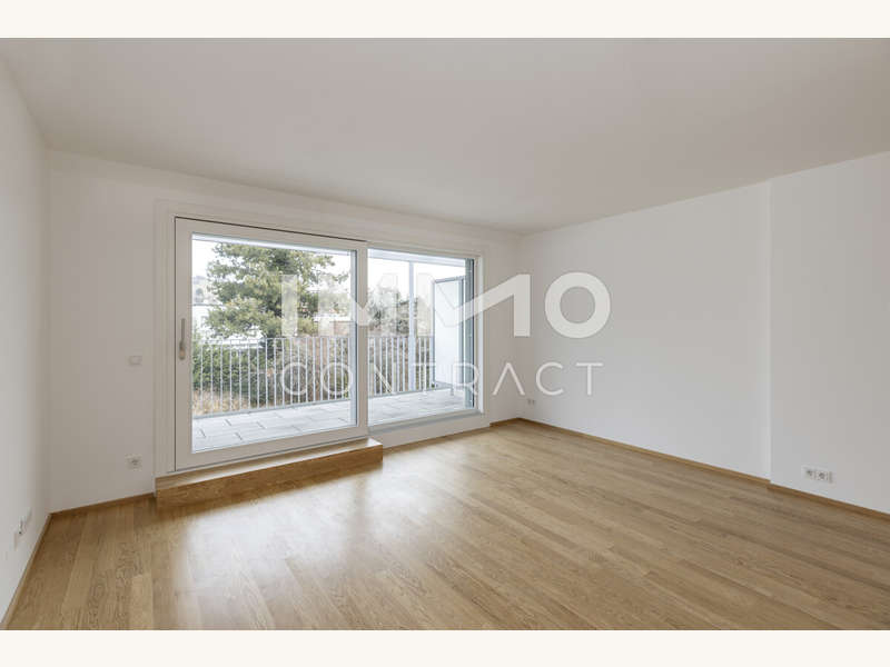 Top_11_T4A0337_auswahl