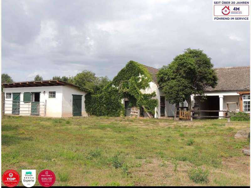 Einfamilienhaus Wetzleinsdorf: Pferdestellplatzen Pferdestellplatzen