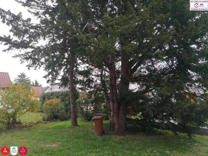 Einfamilienhaus in Stockerau - Bild 3 Einfamilienhaus in Stockerau - Bild 3