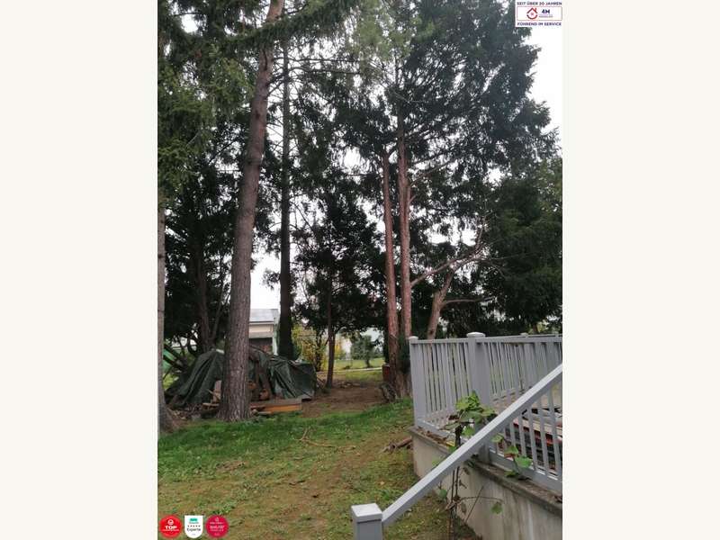 Einfamilienhaus in Stockerau - Bild 5 Einfamilienhaus in Stockerau - Bild 5