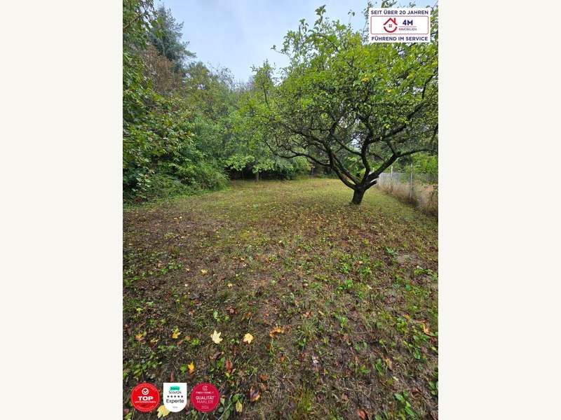 Einfamilienhaus in Kierling - Bild 4 Einfamilienhaus in Kierling - Bild 4