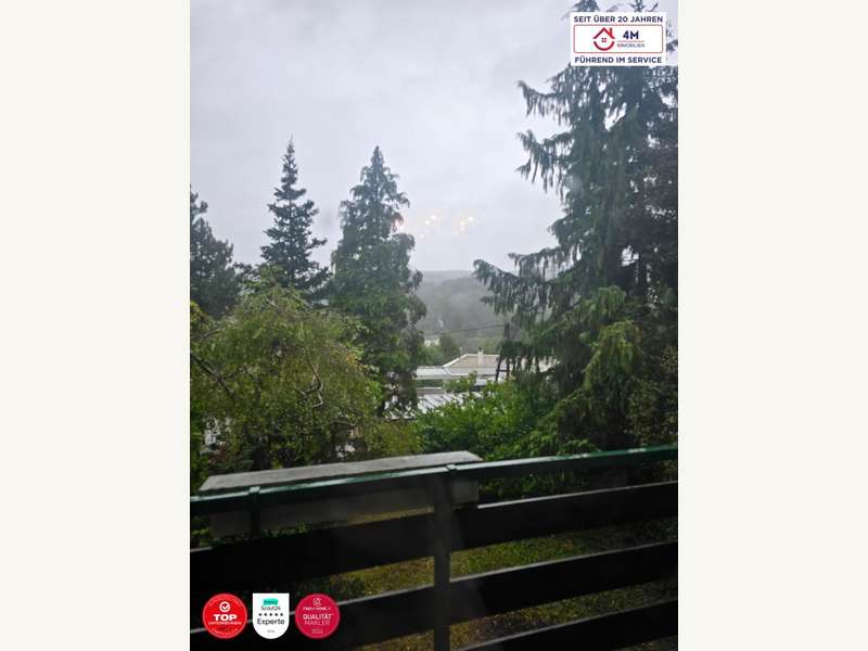 Einfamilienhaus in Kierling - Bild 10 Einfamilienhaus in Kierling - Bild 10