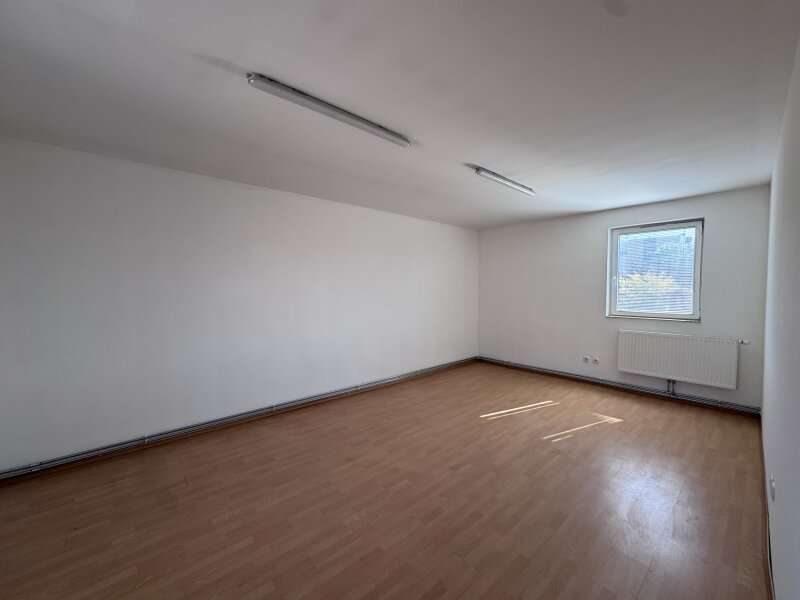 Büro in Brunn am Gebirge - Bild 6