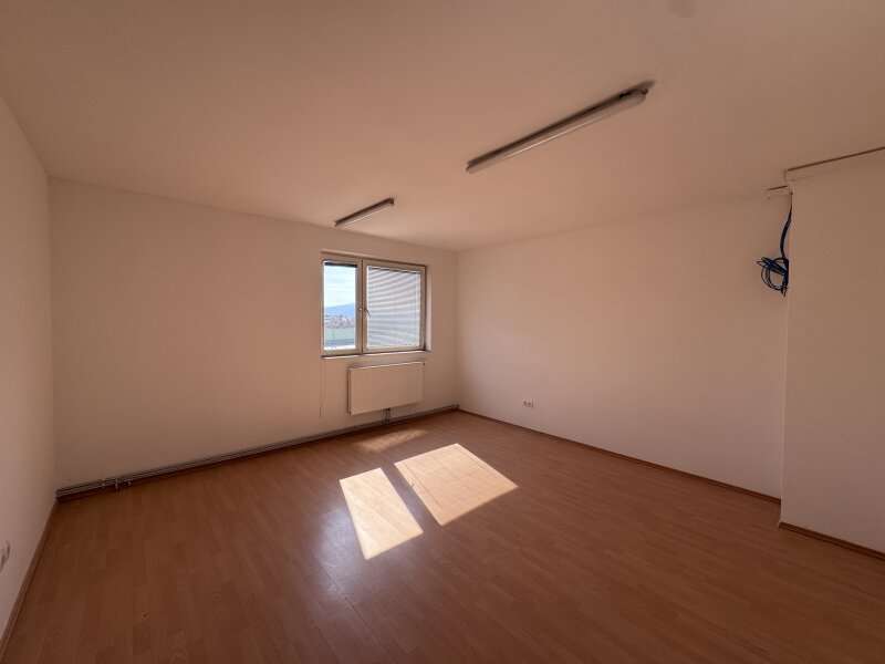Büro in Brunn am Gebirge - Bild 8