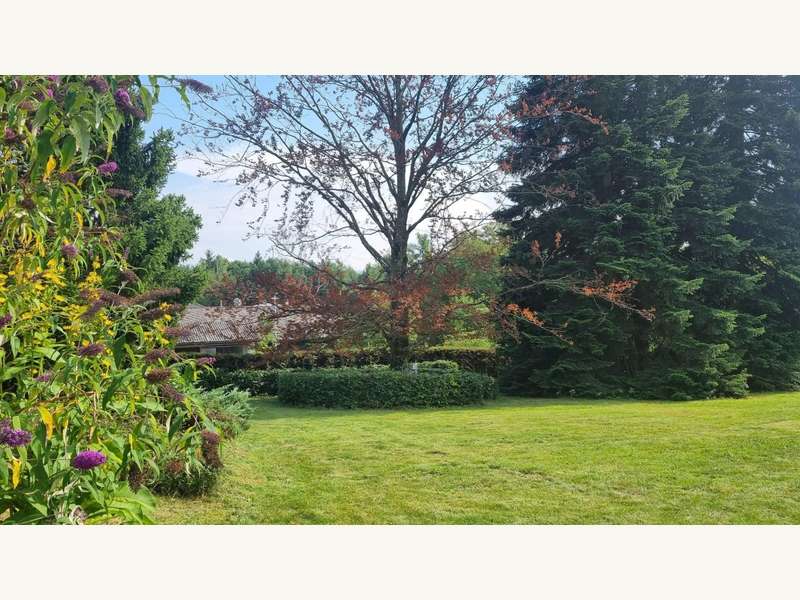 Baugrundstück in Vöcklabruck - Bild 3