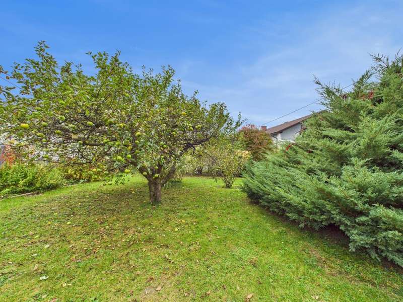 CAM04191G0-PR0063-STILL027