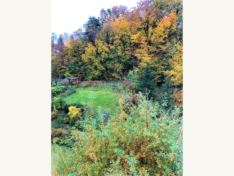 Mietwohnung Linz: Aussicht Aussicht