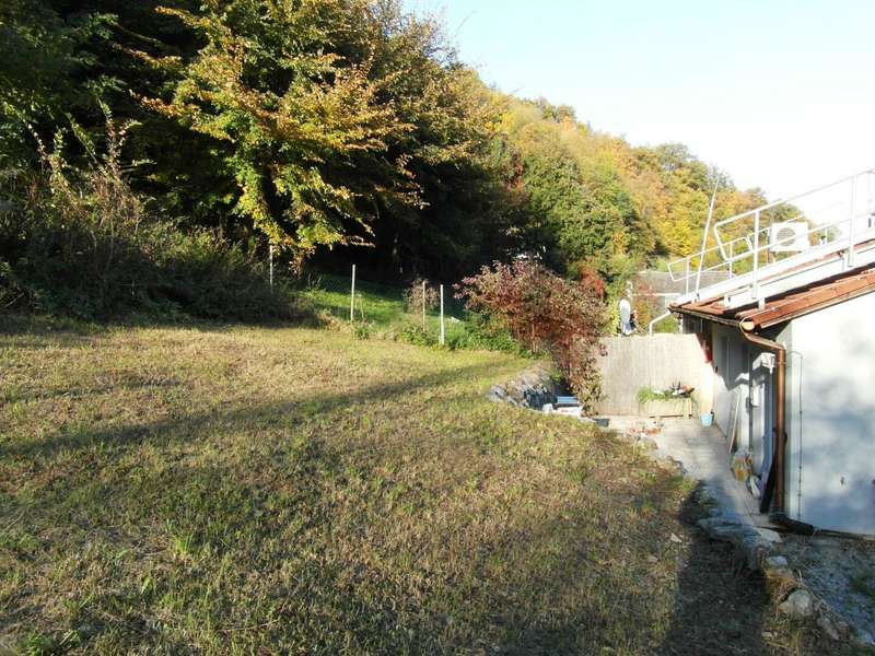 Mietwohnung Graz: Gartennutzung möglich Gartennutzung möglich