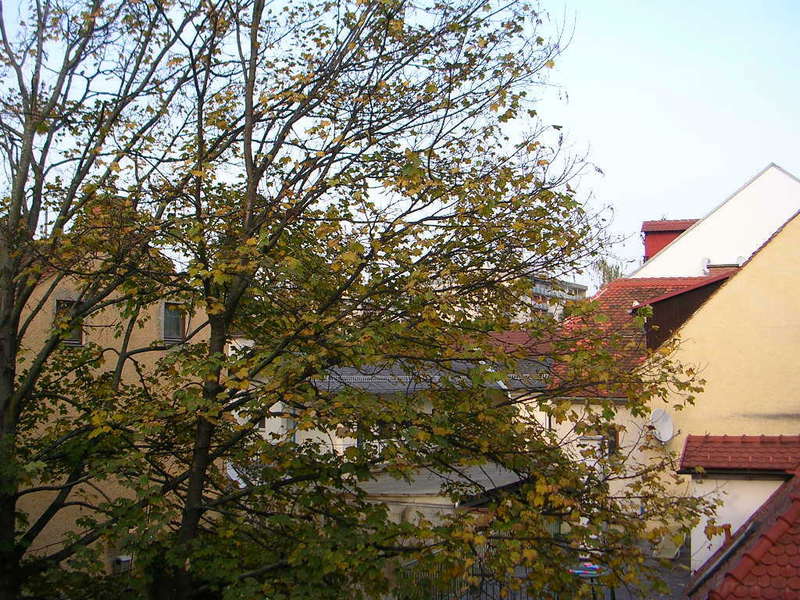 Dachgeschosswohnung Graz: Aussicht Aussicht