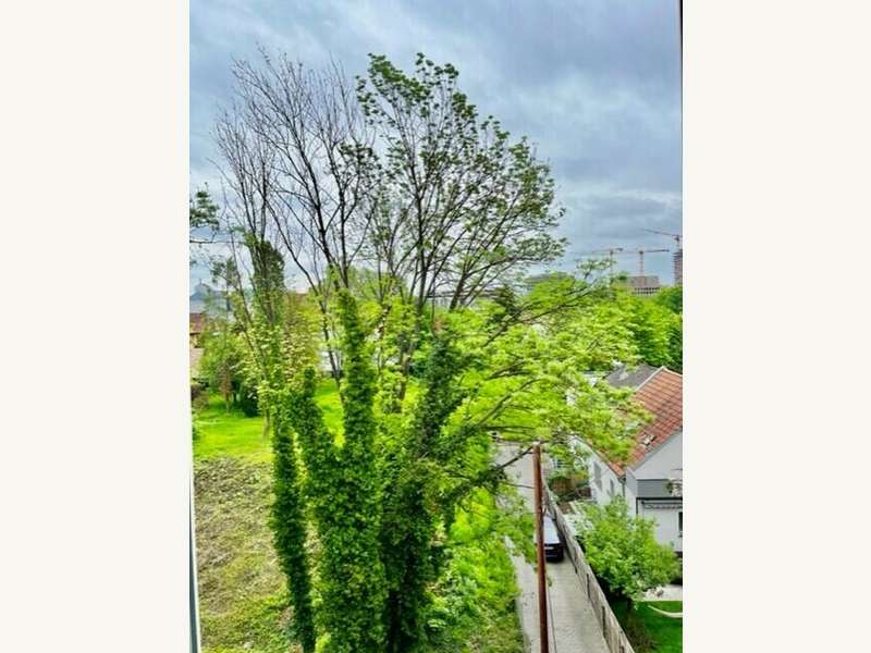 Mietwohnung Graz: Ausblick Ausblick