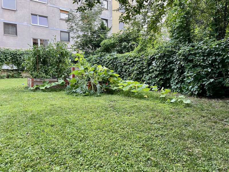Mietwohnung Graz: Garten Detailansicht Garten Detailansicht