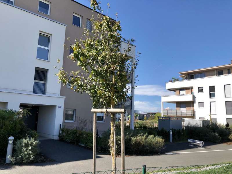 Mietwohnung Kalsdorf bei Graz: Nachbarhäuser Nachbarhäuser