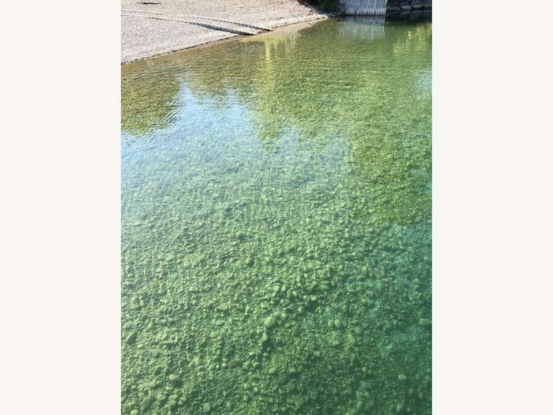 Mietwohnung Kalsdorf bei Graz: Badesee Badesee