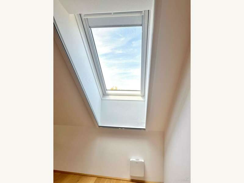 Fenster mit Innen-Rollo und Fliegengitter